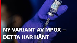 Ny variant av mpox sprids – detta har hänt [upl. by Nonarb]