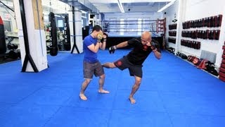 How to Use Kicks  MMA Fighting [upl. by Iclek]