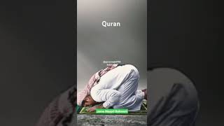 httpsyoutube5nQD1yZ6Hz8 Surah yasin tilawat translation in Urdu💚 [upl. by Bab919]