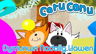 Caru Canu  Dymunwn Nadolig Llawen Welsh Childrens Christmas Song [upl. by Clawson]