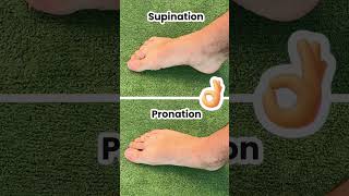 Fix Your Bunions amp Overpronation at The Same Time [upl. by Fahy]