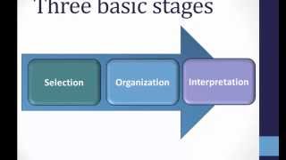 Perception Basics [upl. by Giddings]