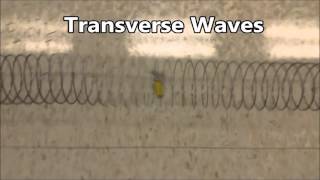 Transverse and Compression Waves Class Labs on Oct 27 and 28 [upl. by Gusta]