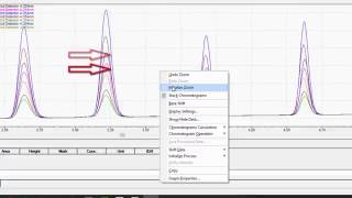 LabSolutions LCGC Workstation Basic Data Analysis [upl. by Engel]