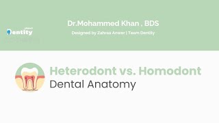 Heterodont vs Homodont [upl. by Deehan932]