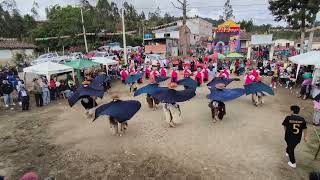 FOLKLOR AZUAYO OTAVALO [upl. by Hesta]