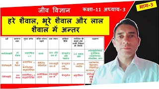 हरे  भूरे तथा लाल शैवाल में अन्तर  Comparison Between Chlorophyceae Phaeophyceae amp Rhodophyceae [upl. by Sinclare]