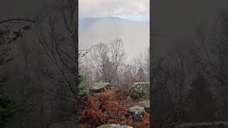 Vosgesmountains hiking alsace vosges randonnée balades baladeenforet montagne celtics love [upl. by Aicekan638]