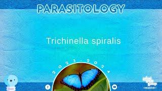 L1part 1 Trichinella spiralis  parasitology [upl. by Docila]