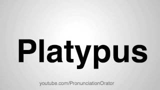 How to Pronounce Platypus [upl. by Ahsain]