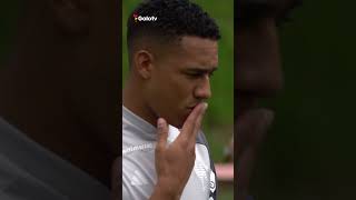 O primeiro TREINO de PALACIOS pelo GALO ðŸ‡¨ðŸ‡´ðŸ” [upl. by Fridlund]