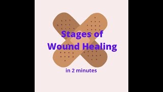 Stages of Wound Healing in 2 mins [upl. by Ecylahs514]