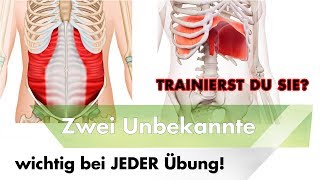 Der M transversus abdominis TVA  Die Grundlage für schmerzfreie Bewegung [upl. by Patterman746]