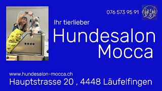 Hundesalon MOCCA  Ihr tierlieber Hundesalon in Läufelfingen  Baselland [upl. by Alane981]