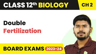 Double Fertilization  Sexual Reproduction in Flowering Plants  Class 12 Biology 202223 [upl. by Woolcott]