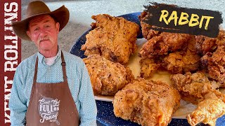 How to Cook Rabbit Two Ways  Deep Fried Rabbit and Hasenpfeffer [upl. by Dlanor]