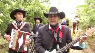 Los Rancheros de Plata  La Temporera [upl. by Weaks]