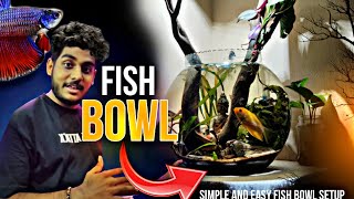 How To Set Up A FISHBOWL The RIGHT Way  Setup Fish Bowl  Planted Fish Bowl Setup [upl. by Natsirk]