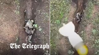 Moment Russian soldier catches and throws away Ukrainian drone bombs [upl. by Giaimo18]