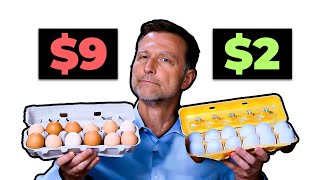 Are Expensive Eggs Really Worth It [upl. by Nashom]