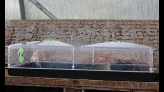 Seed Propagation With The Vitopod Electric Propagator [upl. by Twelve]