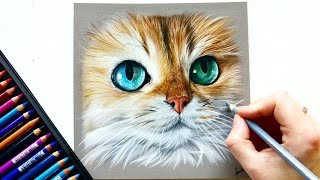 Drawing a photorealistic cat portrait with pastel pencils  Leontine van Vliet [upl. by De]