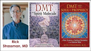 Dr Rick Strassman  DMT Psychedelic Research [upl. by Bigler825]