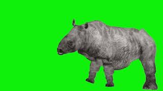 Toxodon Green Screen 2 for Sticknodespro6522 [upl. by Stanfill682]