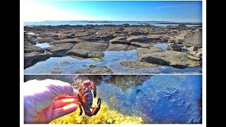 Balade  Grande Marée Basse  Dans les Rochers à Kerpape  Ploemeur  Morbihan  Bretagne  France [upl. by Rhtaeh]