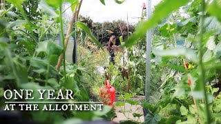 Harvesting Happiness First Year In Our English quotCottagequot Allotment Garden [upl. by Annoel198]