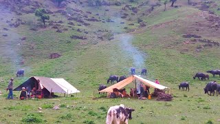 Very Relaxing Nepali Mountain Village Life  Organic food Returning the Home after six Month later [upl. by Ferrell]