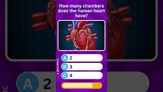 How many chambers does the human heart have GeneralKnowledgeQuiz GKQuiz ViralQuiz [upl. by Schreibman]