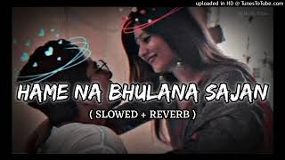 Hame NA BHULANA SAJAN  Slowed and reverb  Hindi remix songs [upl. by Elockin]