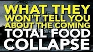 What They Arent Telling You About the Coming Food Collapse 671 [upl. by Cavanagh927]