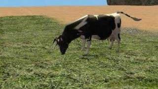 Cow Grazing  Sims 2 [upl. by Derna]