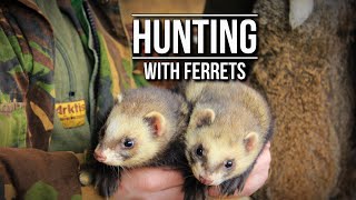 Hunting with Ferrets  TAOutdoors [upl. by Devon]