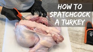 Meat DIY how to spatchcock a turkey for better cooking  Jess Pryles [upl. by Beesley]