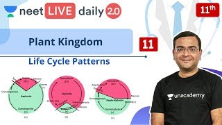 NEET Plant Kingdom  L11  Life Cycle  Class 11  Live Daily 20  Unacademy NEET  Pradeep Sir [upl. by Engelbert]