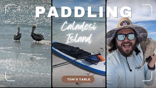 Dunedin Causeway To Caladesi Island An Epic Paddling Adventure [upl. by Haimorej919]