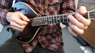 Swallowtail Jig With Tabs  Mandolin Lesson [upl. by Cummings]