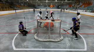 HTBHL  The Spitting Llamas vs Blades of Steel  May 29 2024 [upl. by Uahsoj]