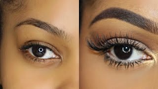 How To Easily Apply Lashes for Beginners  Dana Alexia [upl. by Jara]