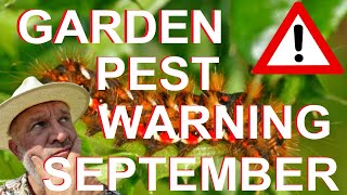 Garden Pest and Disease Warnings for September [upl. by Tsugua903]