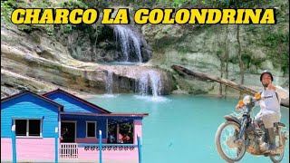 “CHARCO LA GOLONDRINA”UNA AVENTURA REMOTA EN EL CAMPO DE PALO BLANCO TUBAGUA YASICA PUERTO PLATA 🇩🇴 [upl. by Aynwad]