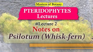 Lecture 2  Psilotum Whiskfern Life Cycle  Pteridophyta Lecture Notes [upl. by Ashatan]