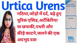 Urtica Urens यूरिक एसिड कम करे बिना साइड इफैक्ट्स  Homeopathic Medicine Urtica Urens Uses In Hindi [upl. by Lightman]