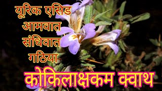 Kokilaksha Kashayam Benefits Dosage Side Effects Ingredients [upl. by Jezreel]