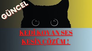 KEDİ KOVAN SES KESİN ÇÖZÜM  KEDİ KOVUCU SES  FREKANS GÜNCELLENMİŞ KEDİ KOVAN SES [upl. by Aeht679]