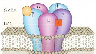 Benzo  Benzodiazepine Interdose Tolerance  Withdrawal  Recovery [upl. by Polky]