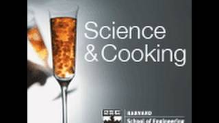 Sousvide Cooking a State of Matter  Lecture 2 2010 [upl. by Airogerg]